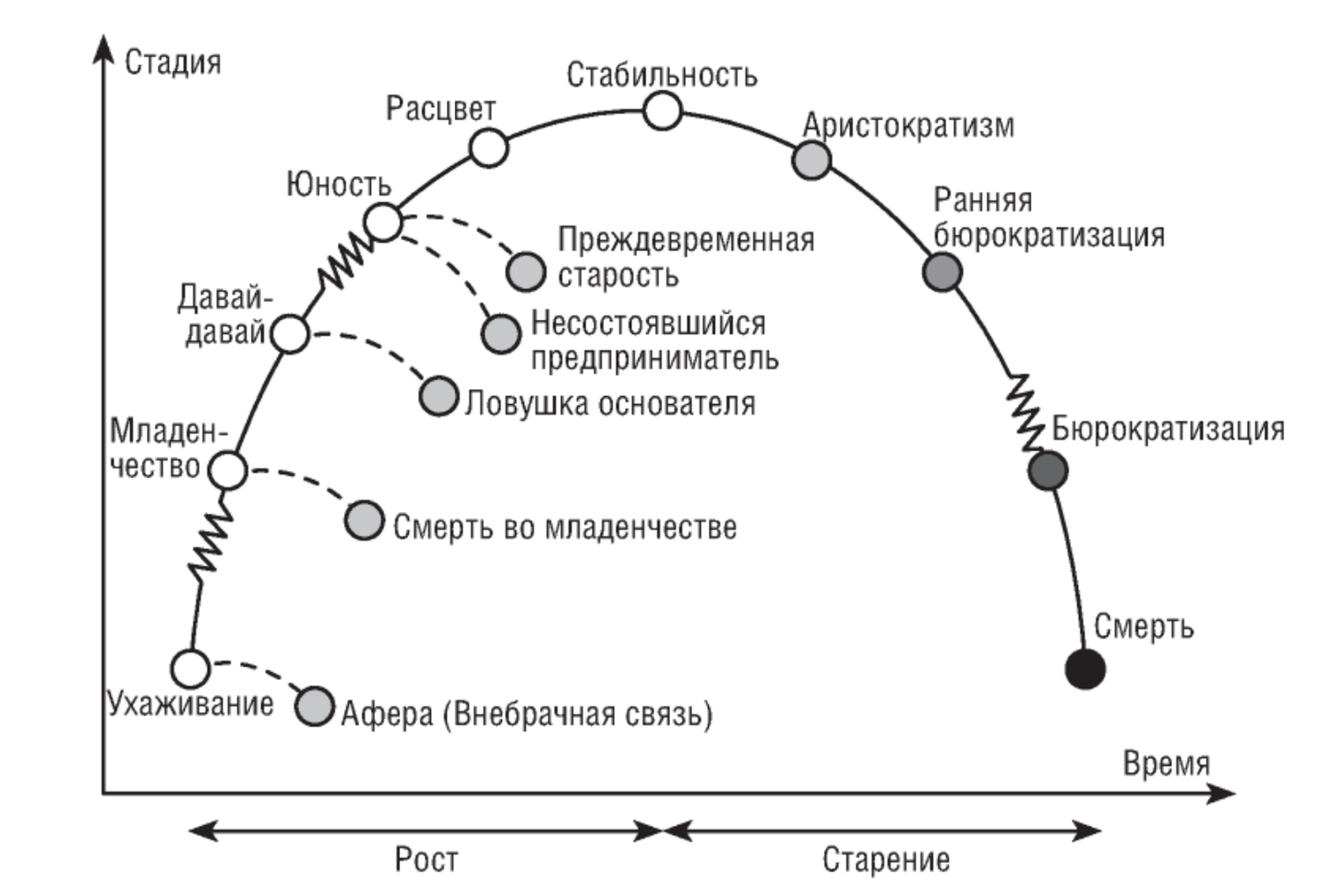 Как правильно трактовать зубчики на схеме адизеса перед этапами младенчество бюрократизация и юность