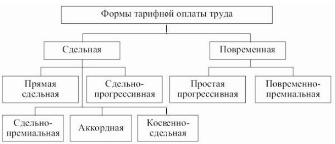 Анализ заработной платы ООО "Орто-мед". Курсовая работа (т). Экономика отраслей.
