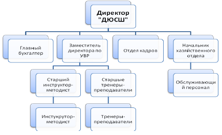 Организационная структура дюсш схема