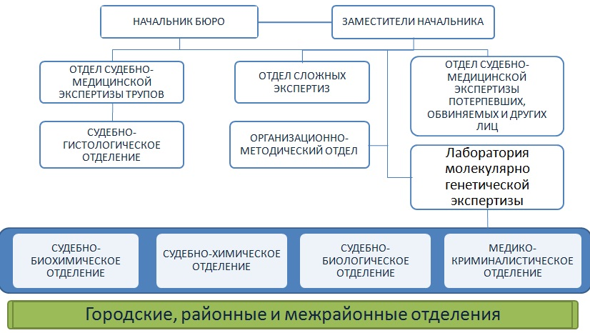 Схема экспертных учреждений министерства юстиции