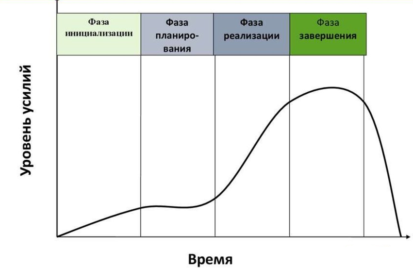 Молодая компания начала реализацию своего нового проекта жизненный цикл проекта был торжественно