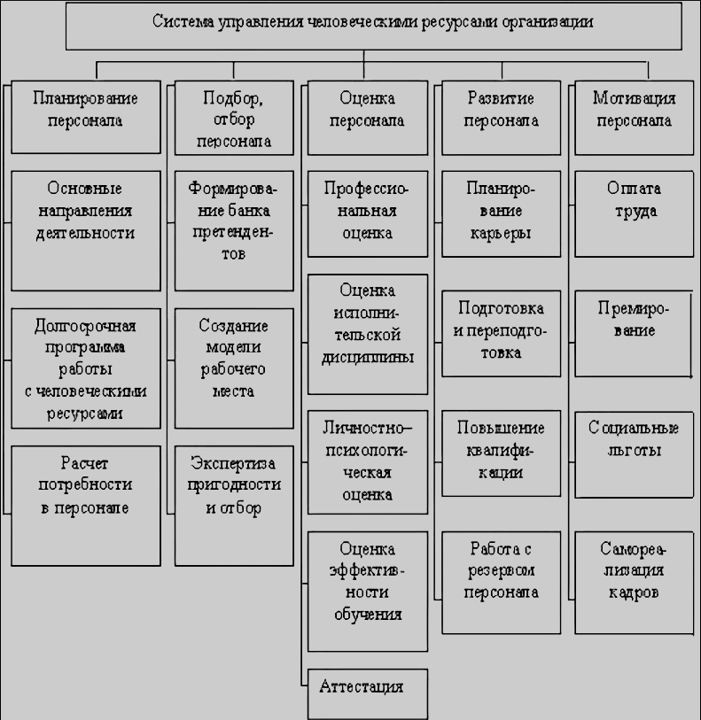 Управление ресурсами в организации. Система управления персоналом и человеческими ресурсами схема. Функции службы управления человеческими ресурсами. Структура службы управления человеческими ресурсами. Система учр схема.