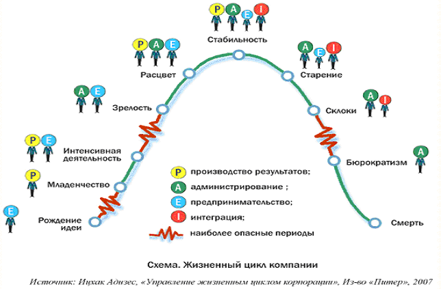 Схема жизненного цикла компании