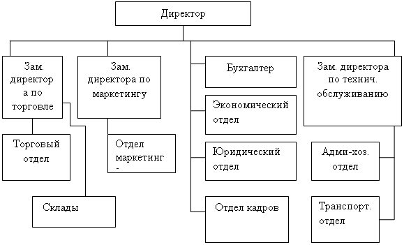 Ооо организация торговли. Организационная структура оптовой торговой организации. Организационная структура предприятия торговли схема. Организационная структура компании оптовой торговли. Структура управления торгового предприятия схема.