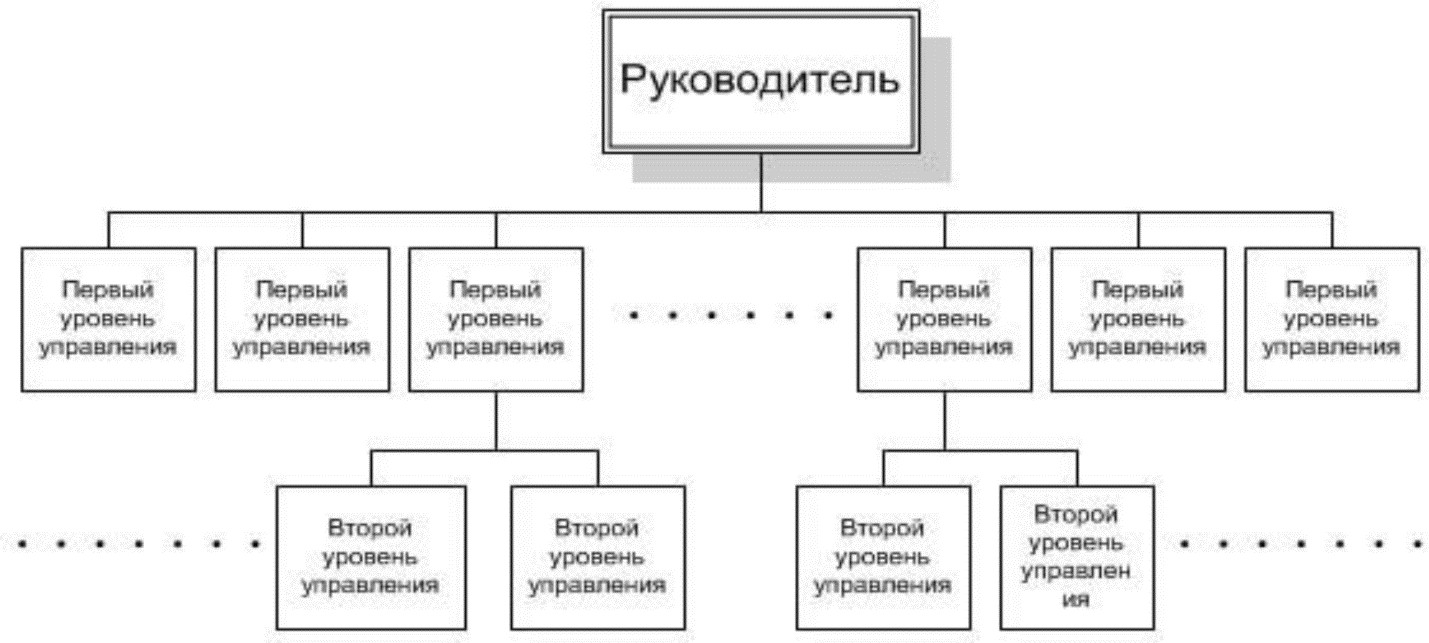 Горизонтальная структура управления схема