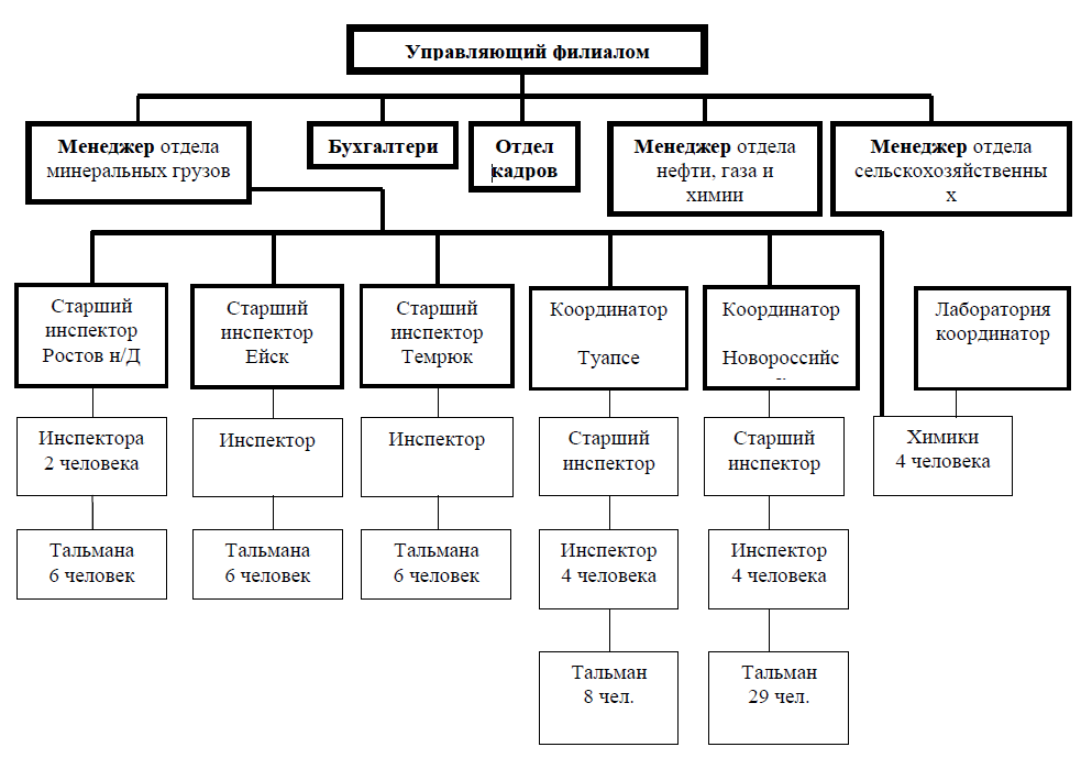 Курсовая работа по теме Типология и анализ организационных структур