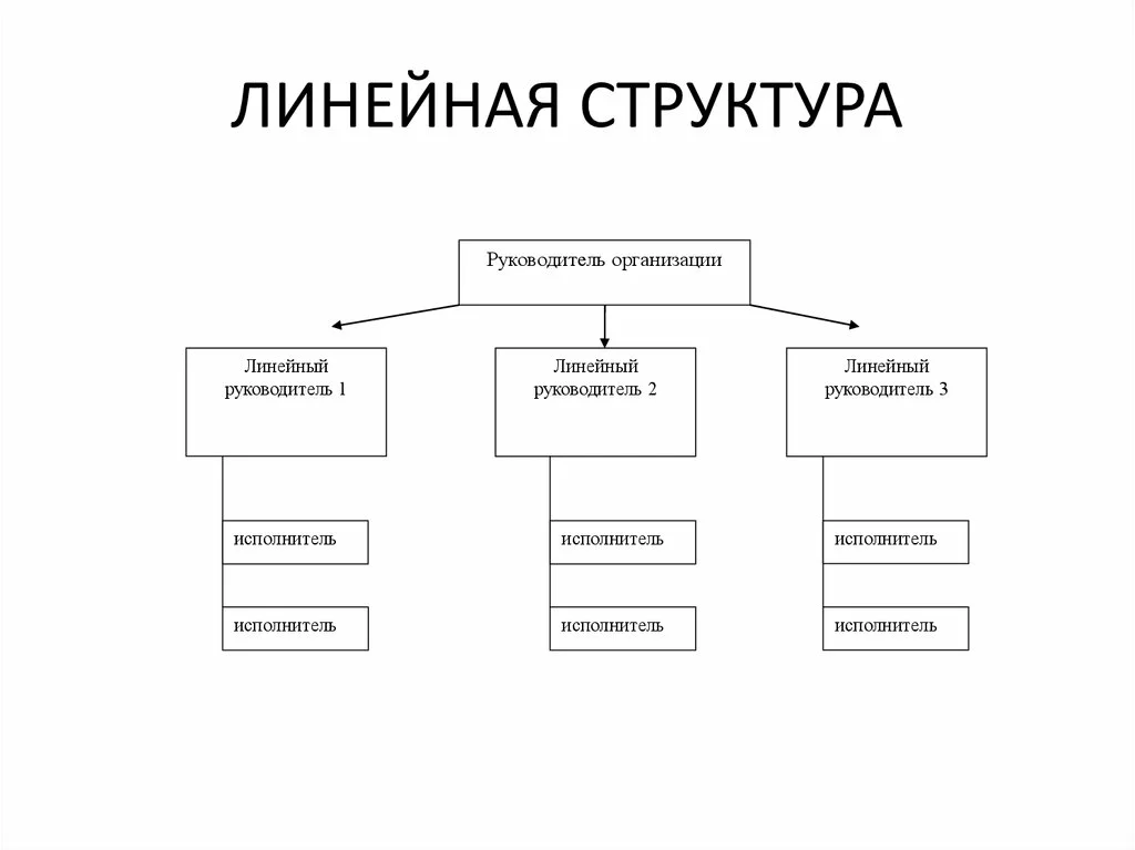 Линейная структура управления организацией схема