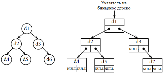 Бинарное дерево и его организация