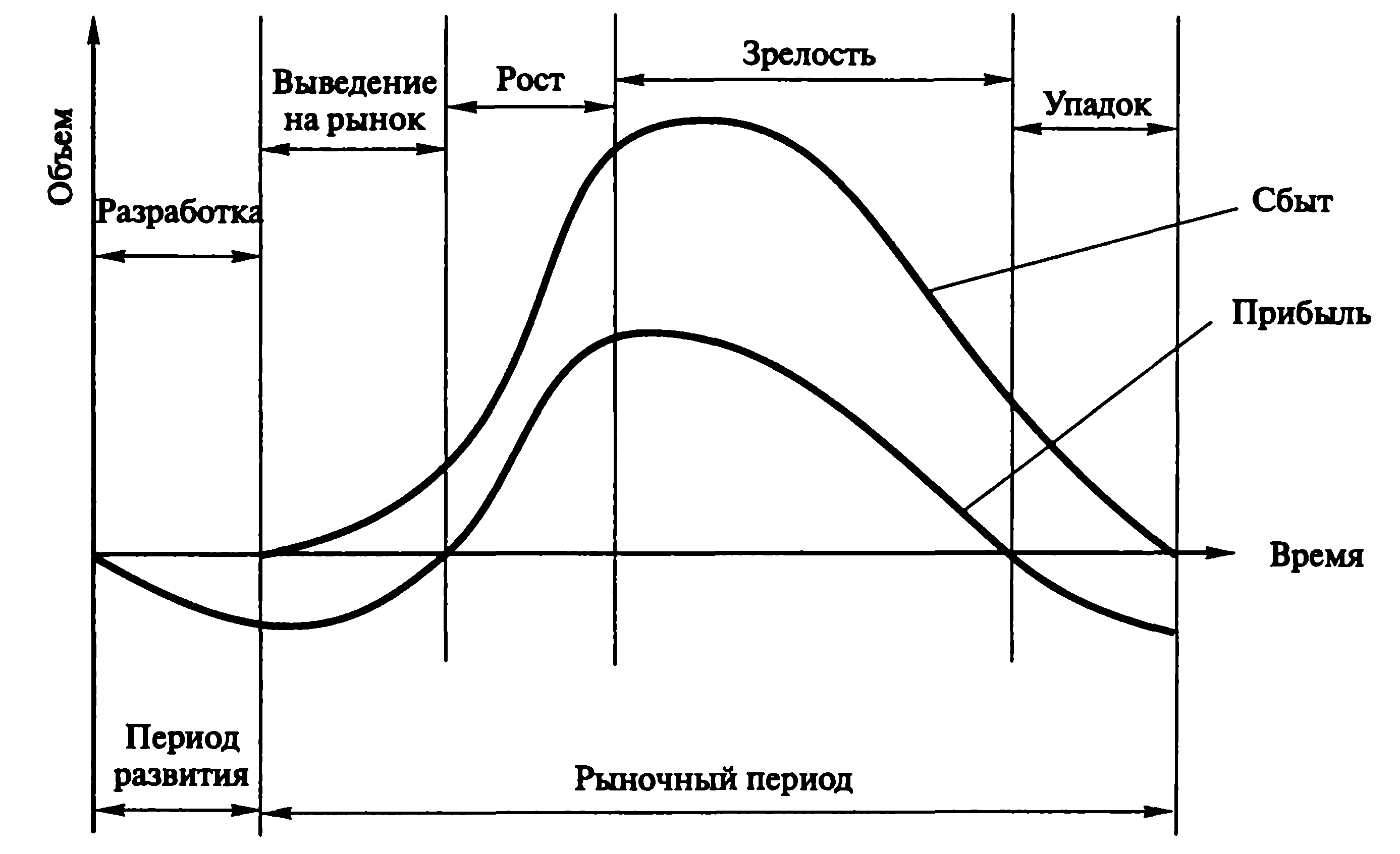 Графическое изображение жизненного цикла