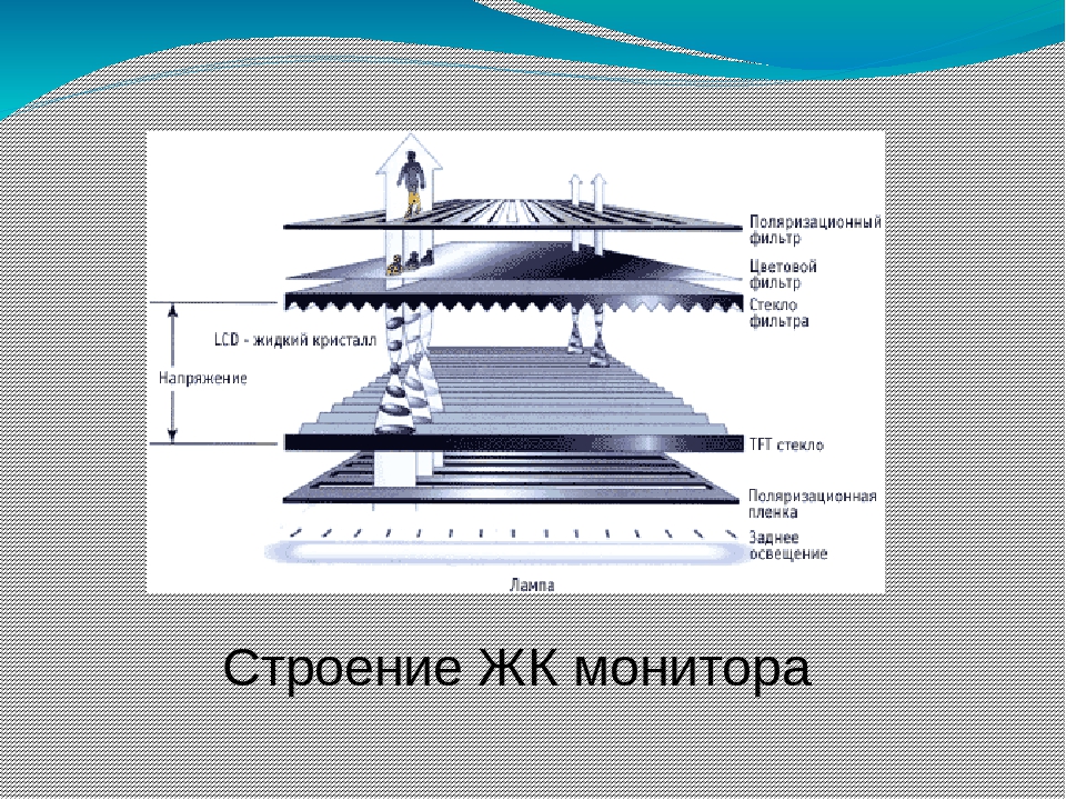 Принцип работы жк. Жидкокристаллический монитор структура. Жидкокристаллические мониторы схема. Строение LCD монитора. Строение ЖК монитора.