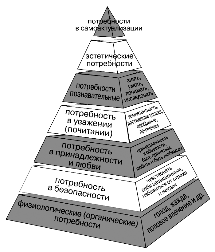 Схема представляющая основные человеческие потребности