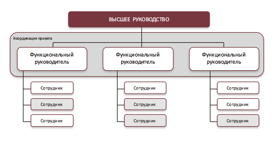 Недостатком функциональной структуры управления проектом является