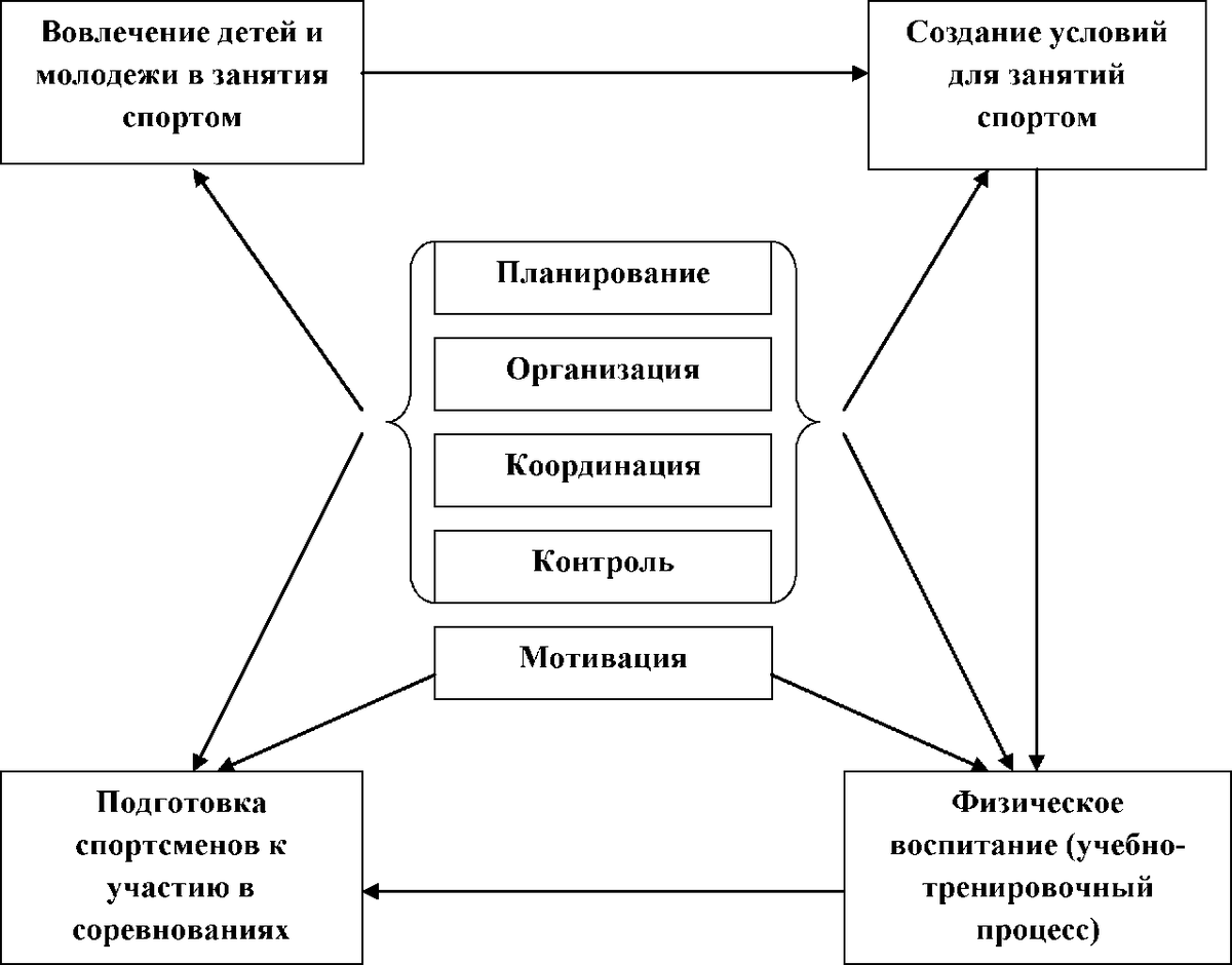 Организация и ее основные функции. Функции управления в спортивном менеджменте. Функции управления в менеджменте схема. Общие функции спортивного менеджмента. Цели и функции спортивного менеджмента.