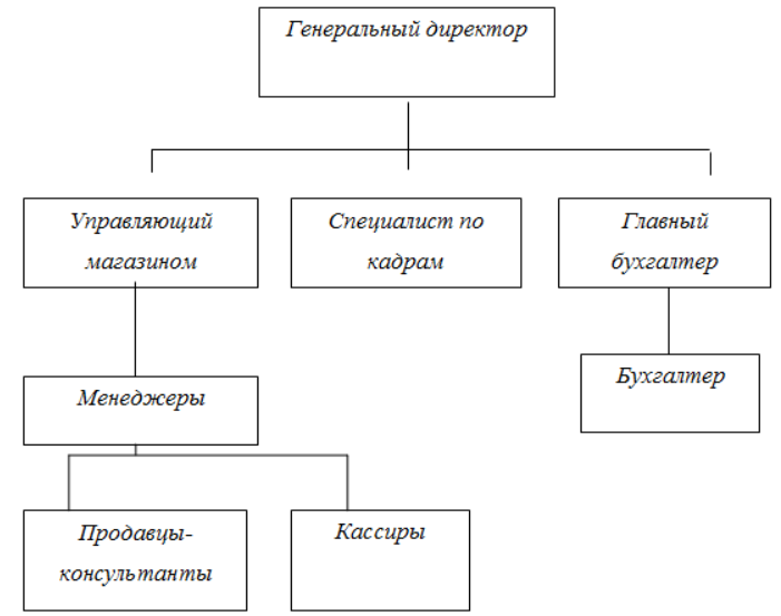 Ооо организация торговли. Организационная структура предприятия схема магазина. Схема организационной структуры управления магазина. Организационная структура управления магазина «магнит Косметик». Организационная структура магазина одежды схема.