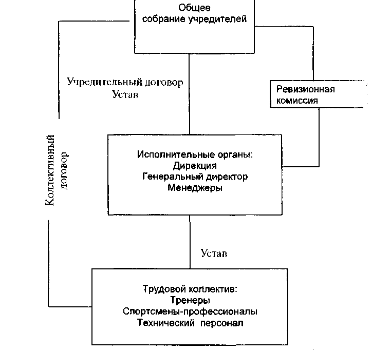 Структура спортивной команды схема