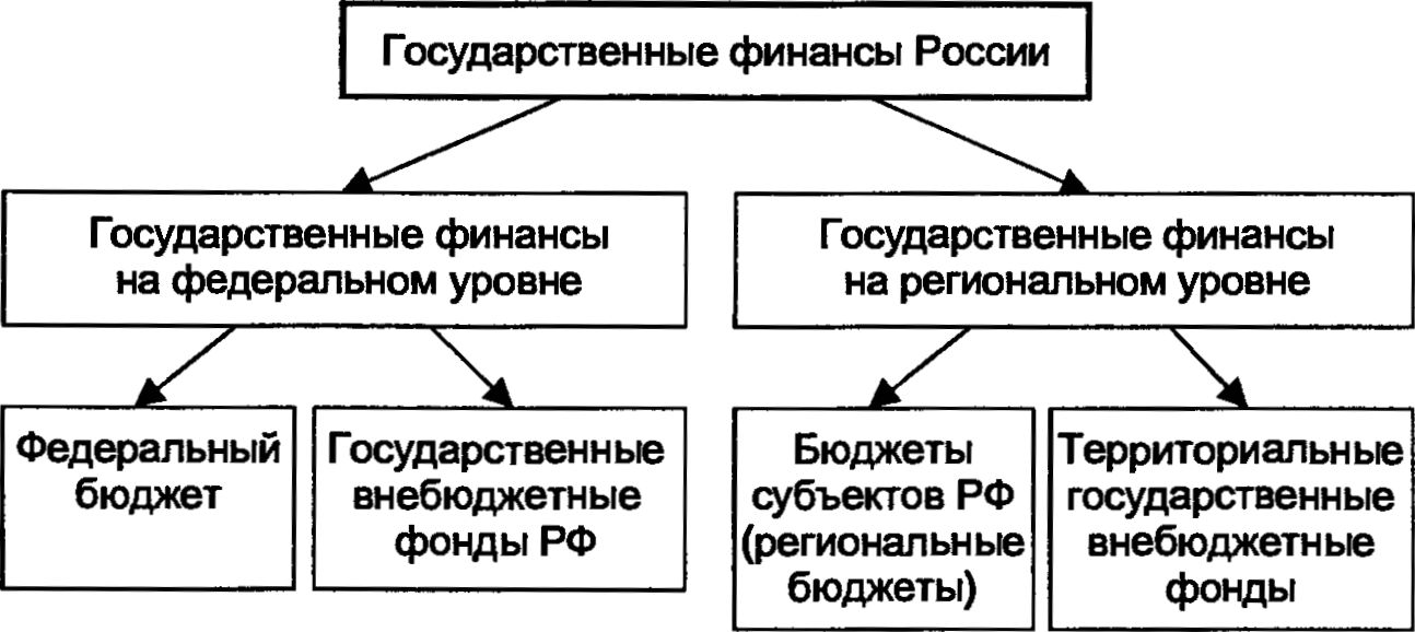 Государственные и муниципальные финансы схема