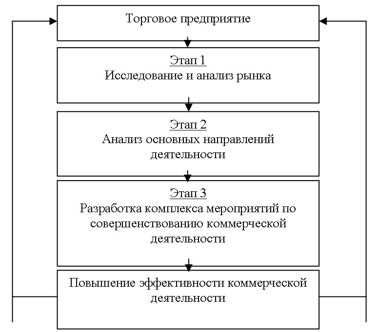 Анализ деятельности торговых организаций. Коммерческая деятельность торгового предприятия. Этапы организации торгового бизнеса. Этапы организации рыночной деятельности в историческом ракурсе. Развитие торговой компании по этапам.