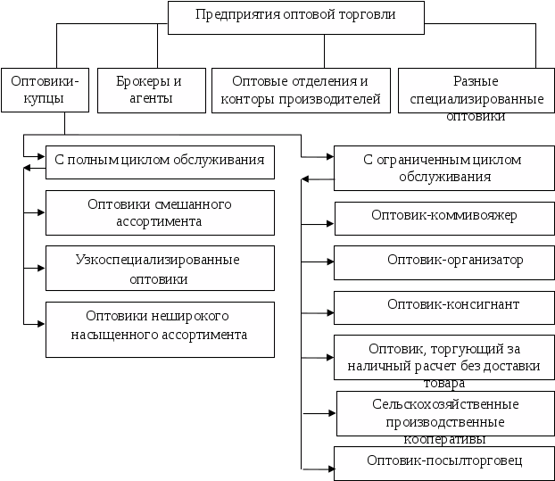 Организациям торговли и обороту в. Классификация оптовых торговцев таблица. Типы оптовых торговых предприятий схема. Классификация оптовой торговли таблица. Классификация оптовых торговых предприятий.