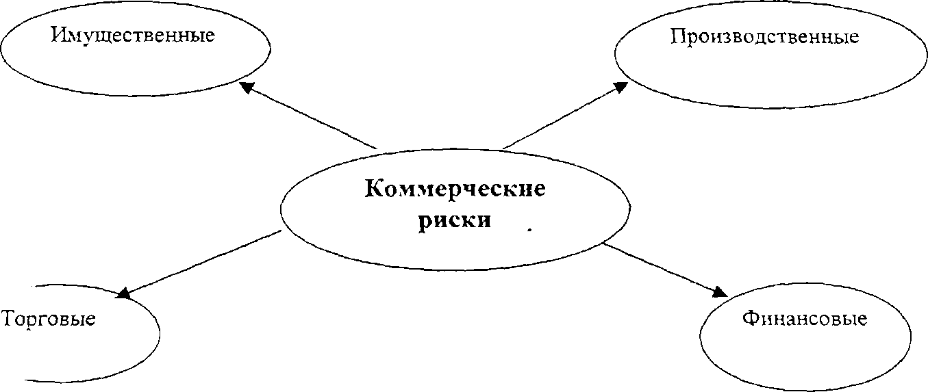 Классификация видов рисков в проекте Коммерческие риски в современной торговле и пути их снижения(Теоретические аспек