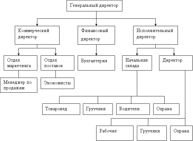 Управление деятельностью ооо