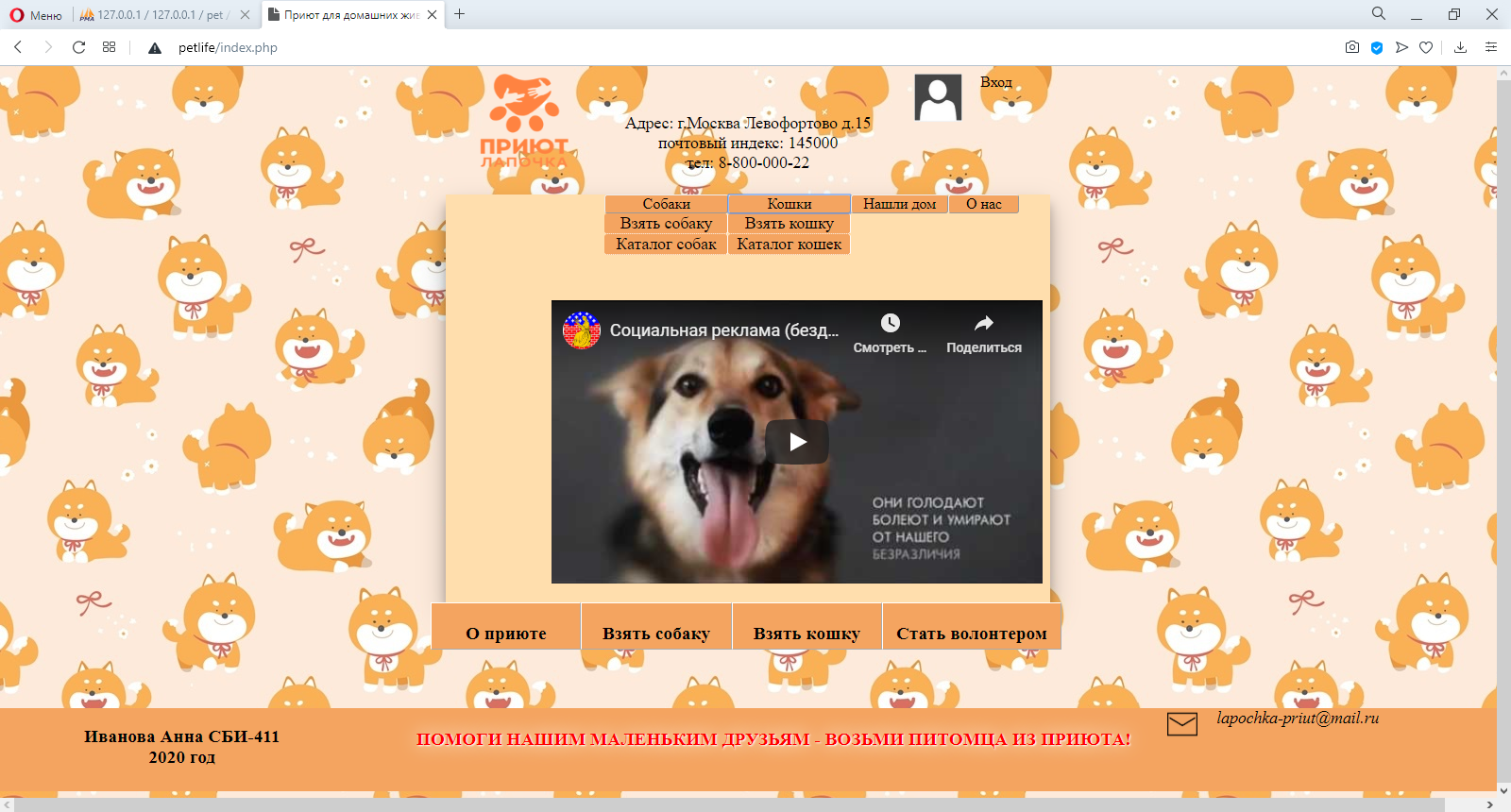 Сайт приют друг. Цветовая схема сайта приюта. Шаблон сайта приюта для животных. Шапка сайта приюта. Дизайн сайты для приюта примеры.