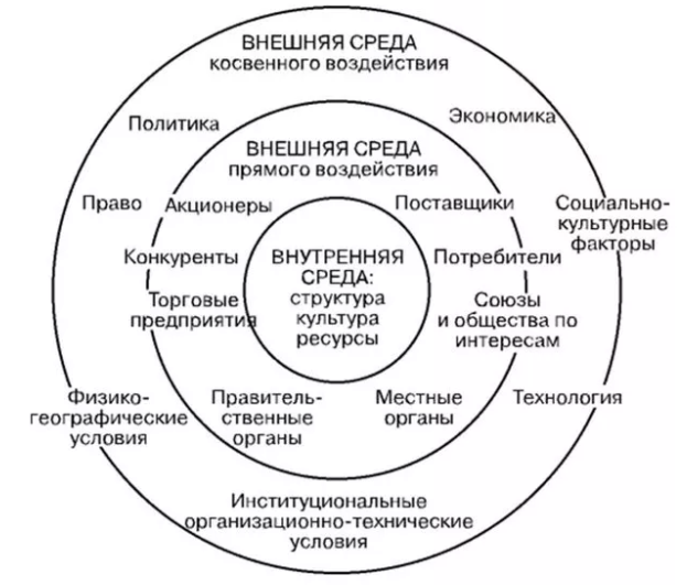 Организация и ее окружение