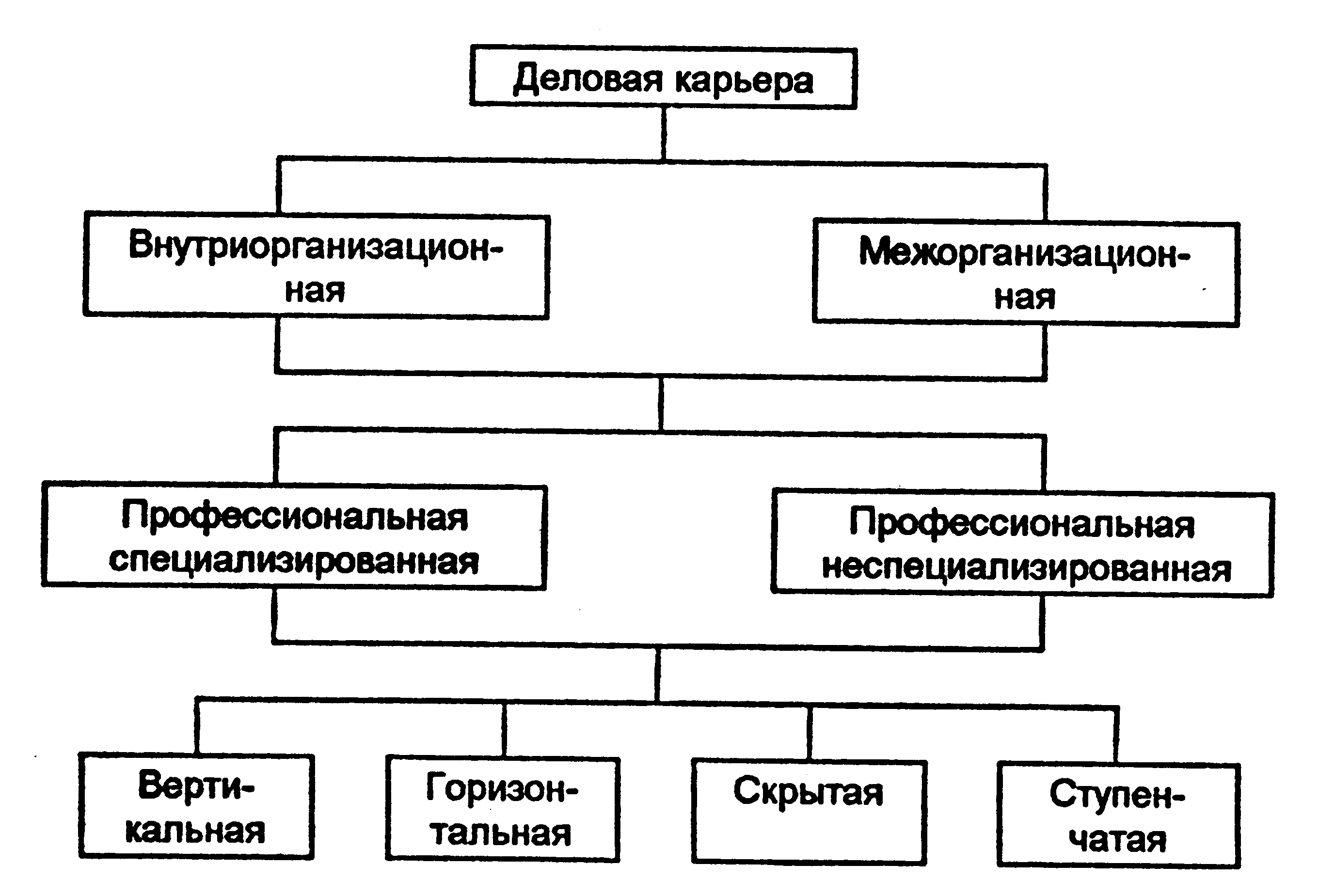 Профессиональная карьера схема