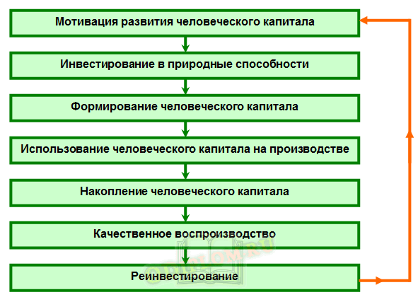 Проект развития человеческого капитала