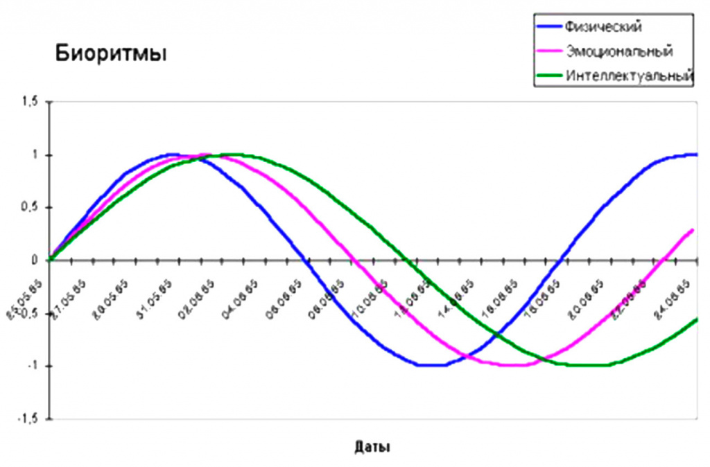 График биоритмов по дате. Суточные биоритмы человека график. Классификация биоритмов человека. Биоритмы и работоспособность человека. Диаграмма биоритмов человека.