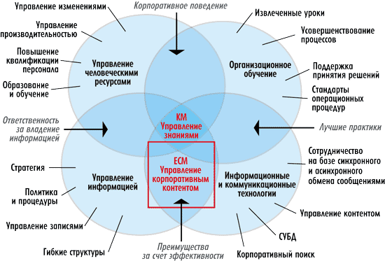 К организационным инновациям в управлении виртуальными проектами компаниями относят