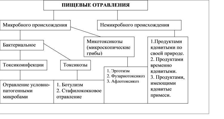 Заполните недостающие звенья и поставьте стрелки в схеме пищевых отравлений