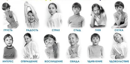 Что не является правилом дактилирования. Смотреть фото Что не является правилом дактилирования. Смотреть картинку Что не является правилом дактилирования. Картинка про Что не является правилом дактилирования. Фото Что не является правилом дактилирования