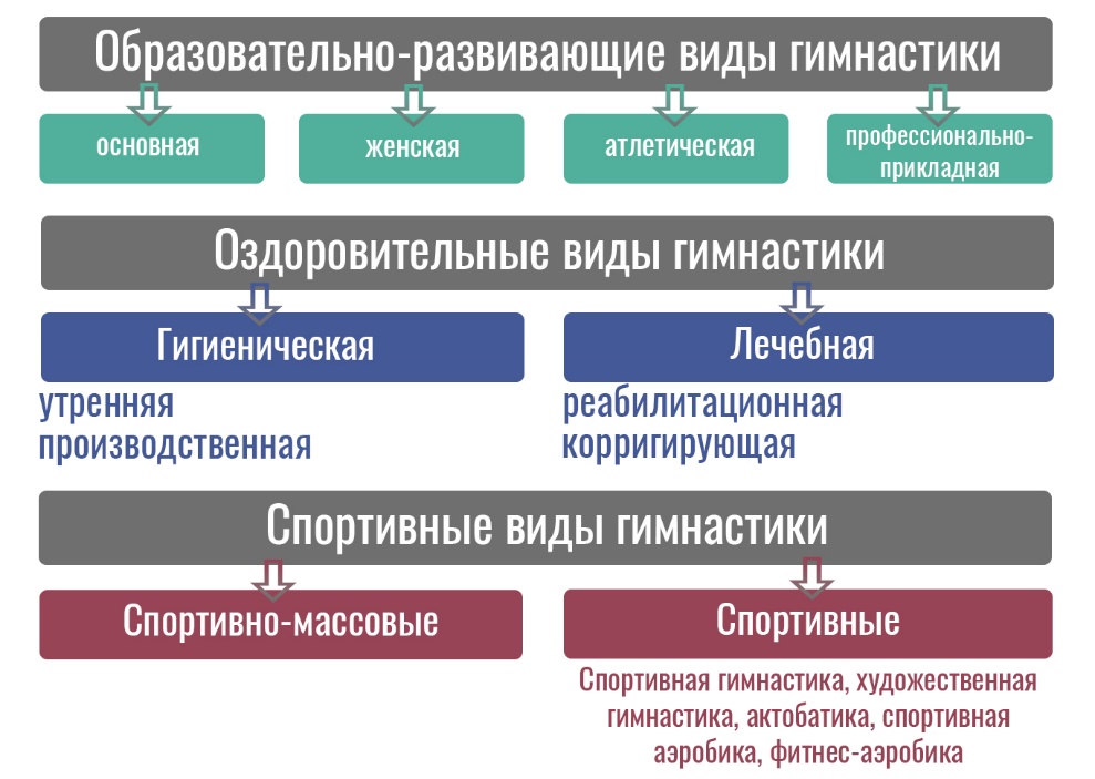 Реферат Гимнастика Список Литературы