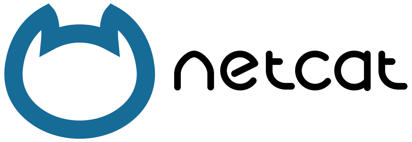 Netcat admin. Netcat. Netcat logo. Netcat cms. Cat net.