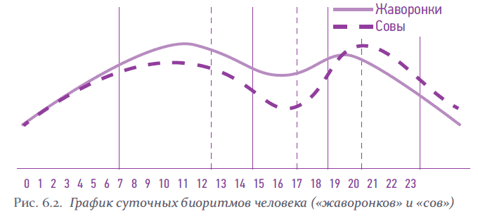 Влияние биологических ритмов на работоспособность человека проект