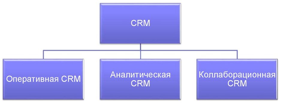 Курсовая работа по теме Клиентоориентированный менеджмент CRM