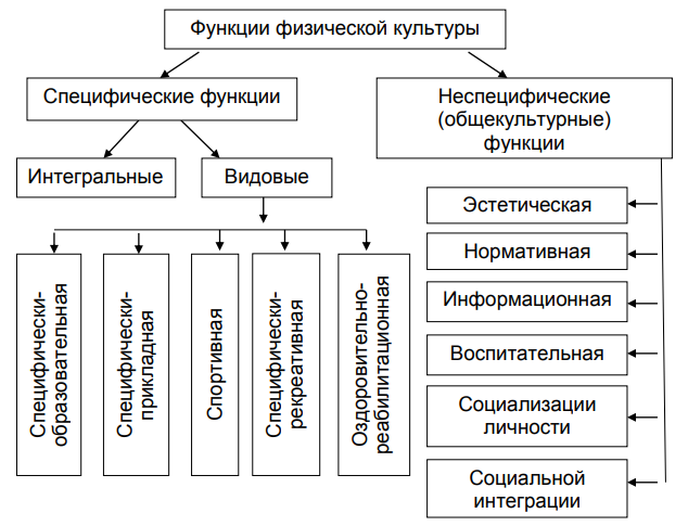 Социальные Функции Физической Культуры И Спорта Реферат