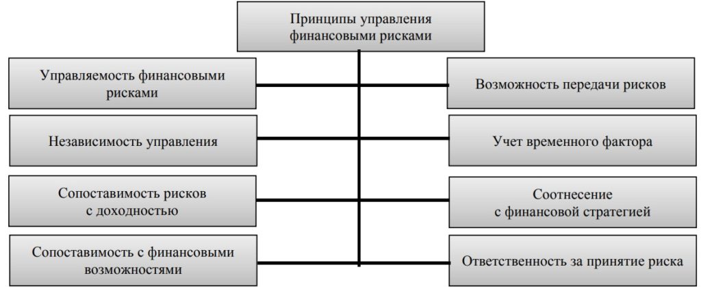 Принципы управления рисками проекта