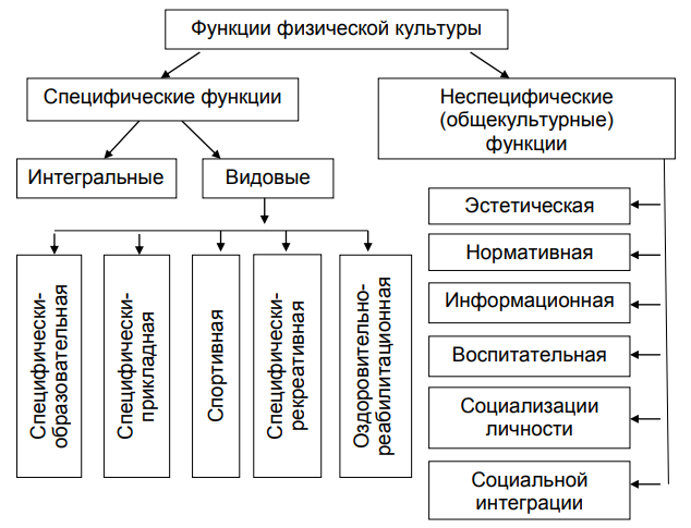 Физические функции
