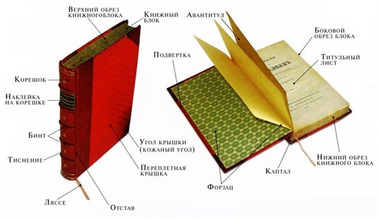 Картинки по запросу структура книги
