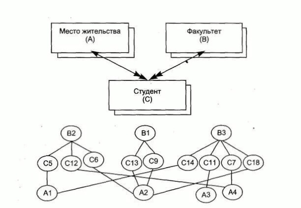 Реферат: Сетевые и иерархические модели данных