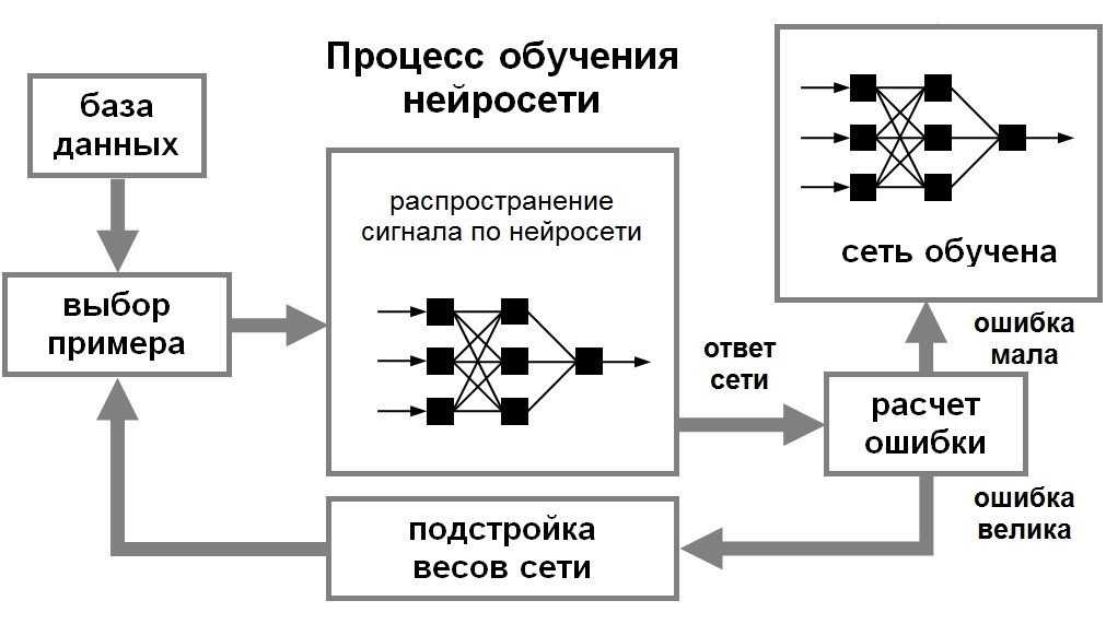 Нейросети - что это такое и зачем они нужны?