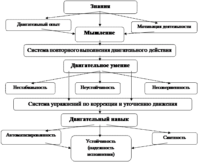 Схема обучения двигательному действию