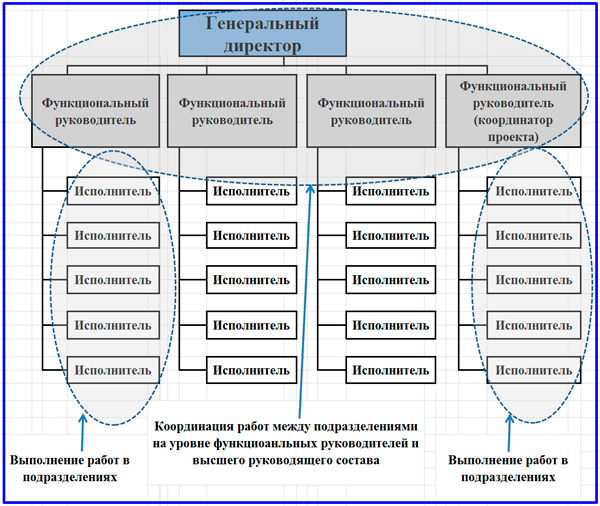 Функциональный руководитель в организации