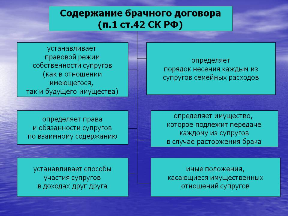 Вопросы которые решает брачный договор