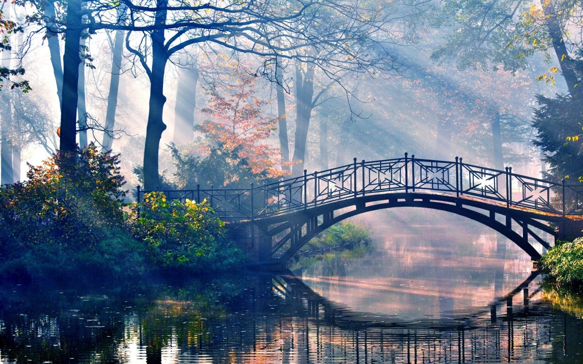 https://www.zastavki.com/pictures/originals/2015/Nature___Forest_The_sun_s_rays_penetrate_the_wood_and_the_bridge_over_the_river_100935_.jpg