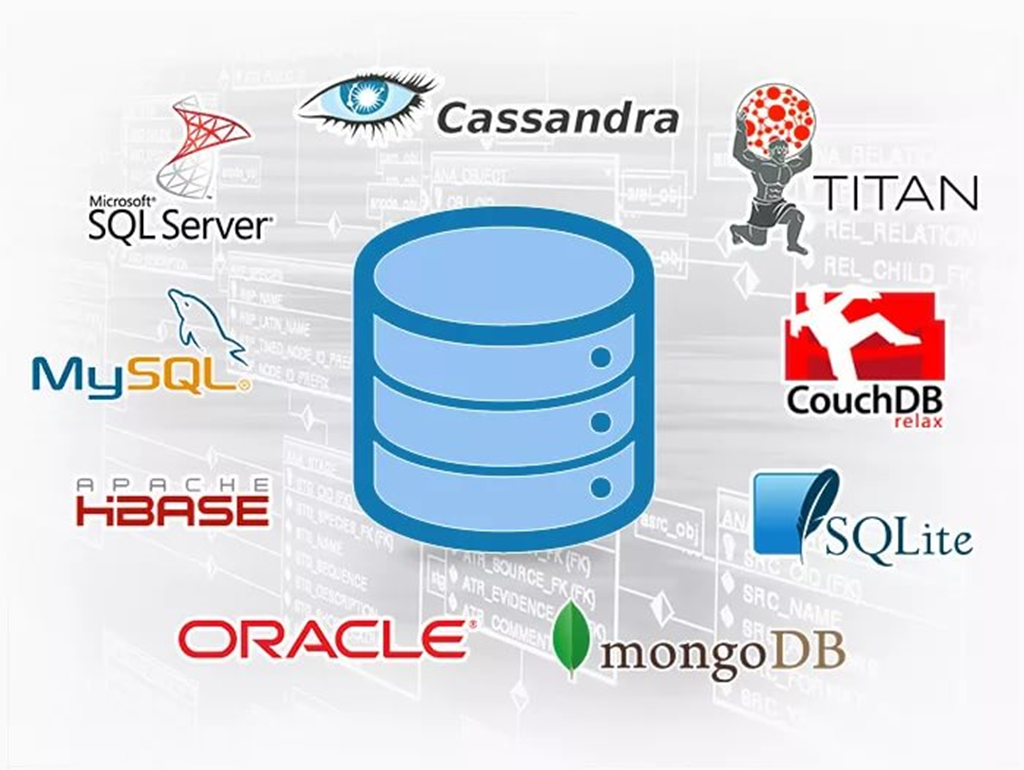 Oracle database sql. MYSQL database. MYSQL И MSSQL. СУБД Oracle MYSQL. Oracle SQL Server.