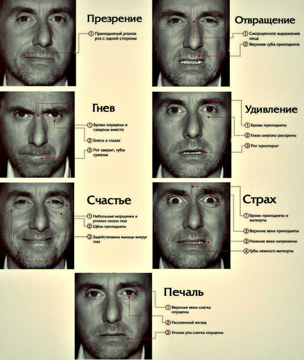 Лицевая экспрессия как средство невербального общения Лицевая экспрессия как средство невербального общения