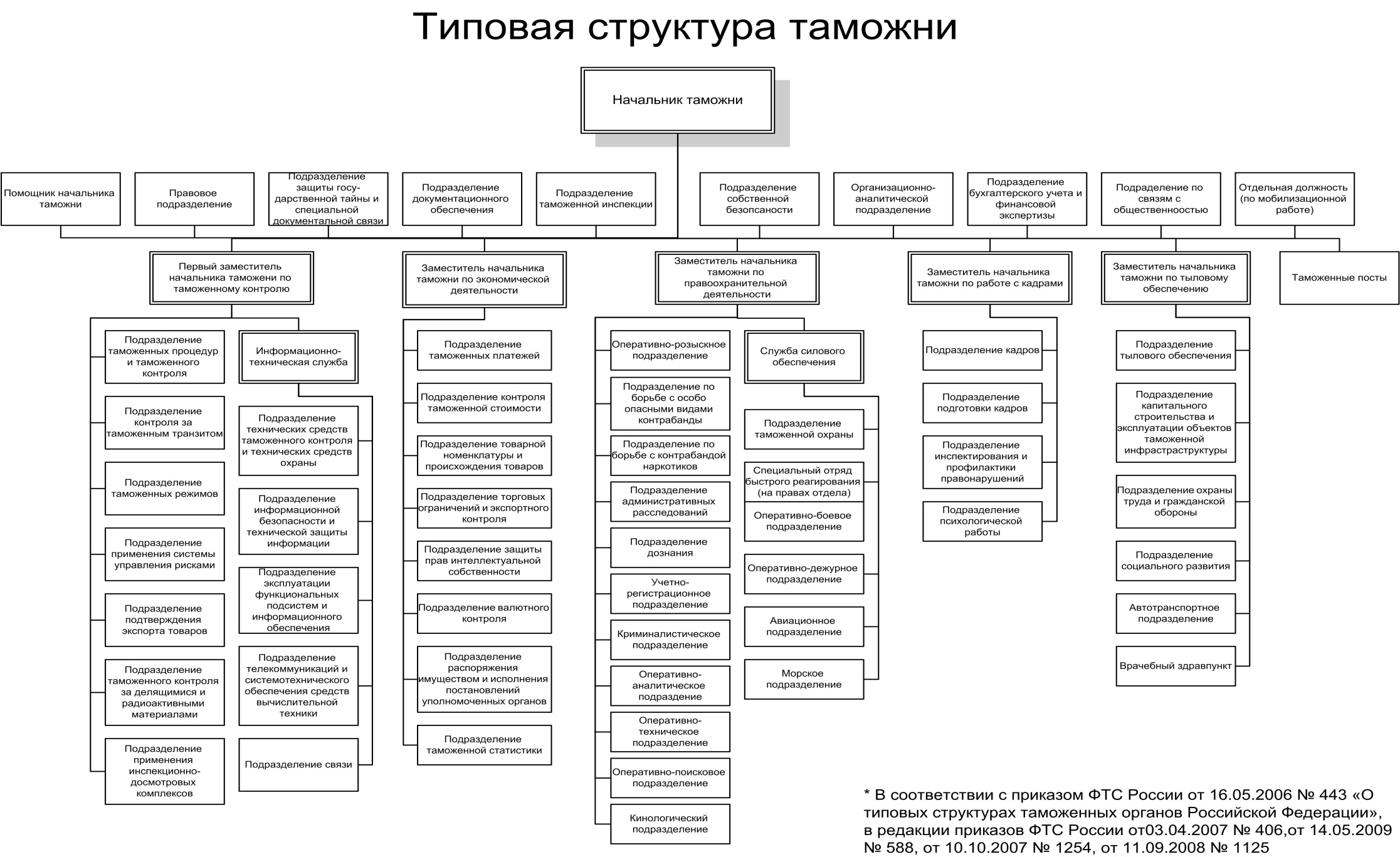 Структура таможни схема