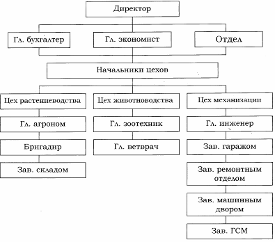 Структура управления сельскохозяйственного предприятия схема